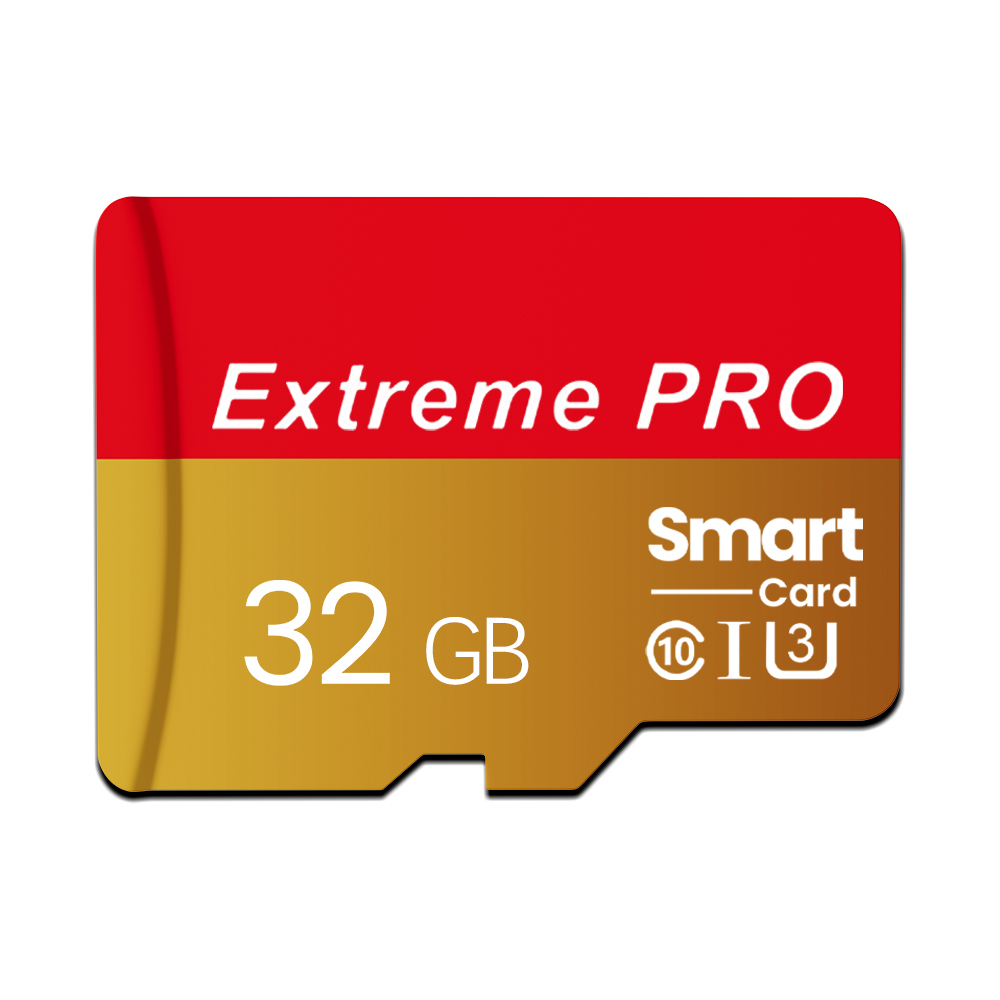 Drone Cinematic - Extreme PRO Mini TF Memory Card